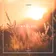 SNEBASTAR - Impulsia Vol.24 (2023) - Track 9